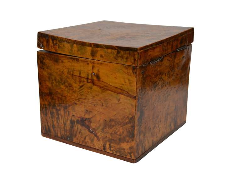 19th Century 19th C Swedish Birch Wood Box