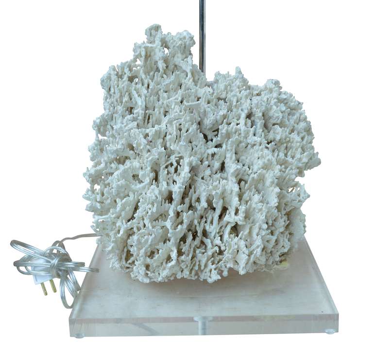 Coral lamp on lucite base.