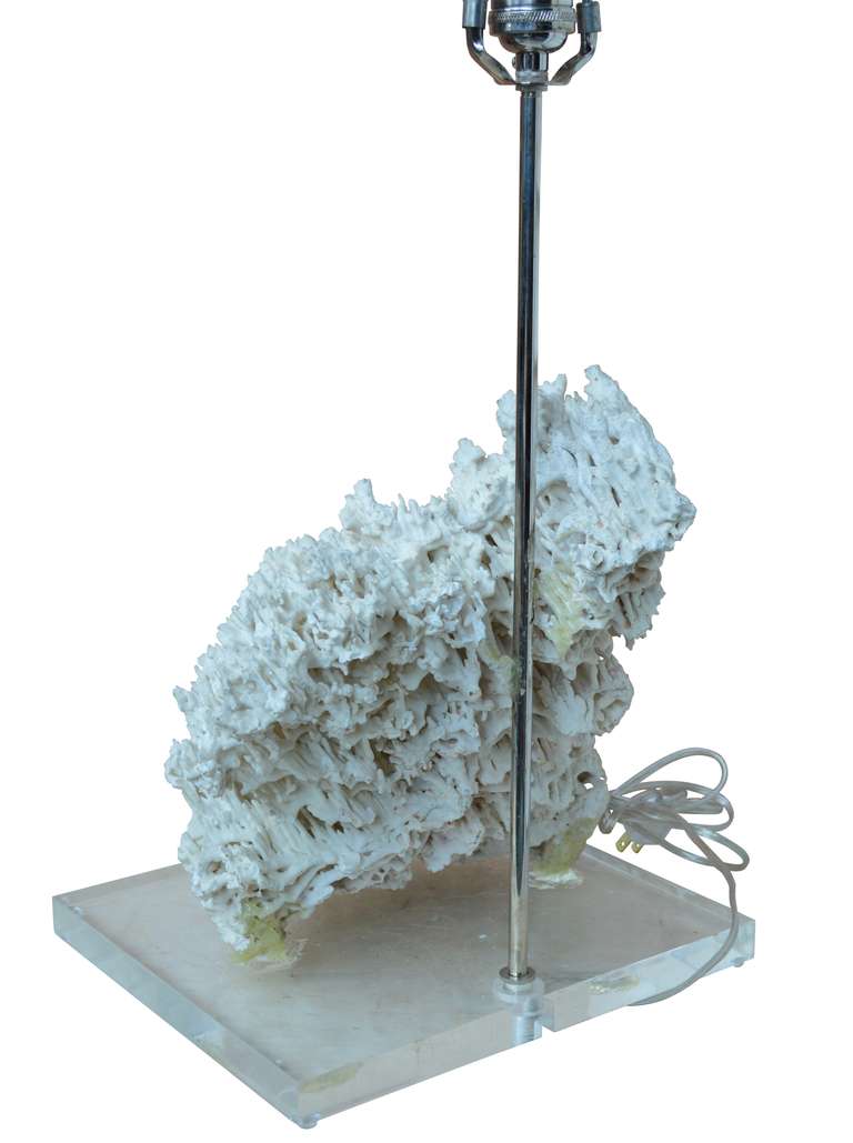 Coral Lamp on Lucite Base In Good Condition In Haddonfield, NJ