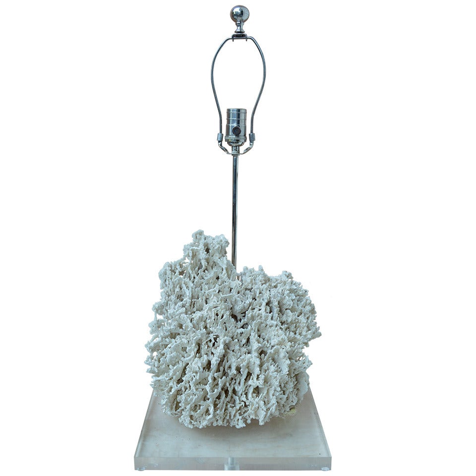 Coral Lamp on Lucite Base