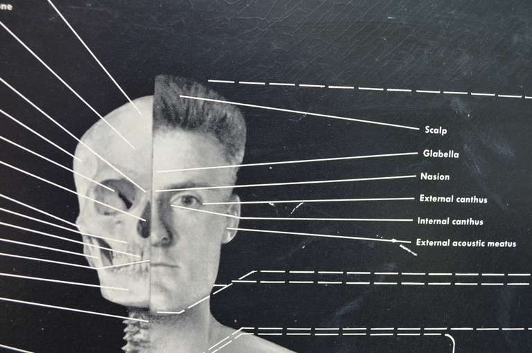 Early Human Body Poster by Eastman Kodak Company 1