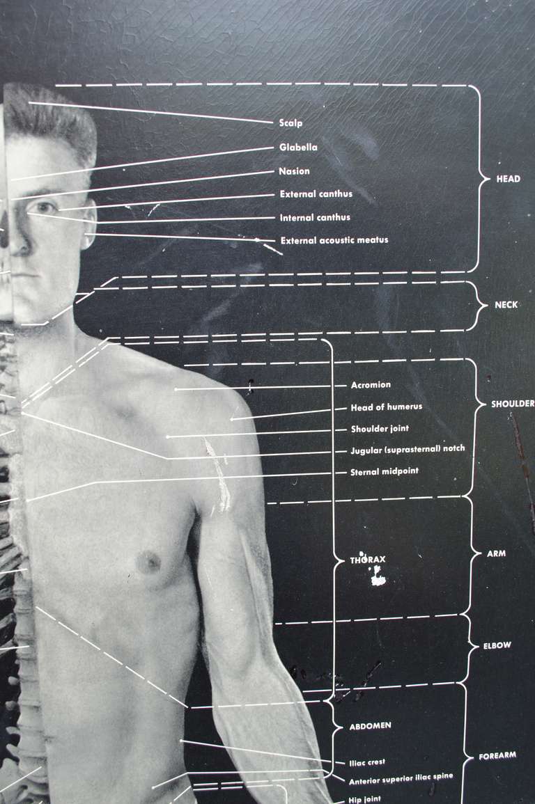 Early Human Body Poster by Eastman Kodak Company 3