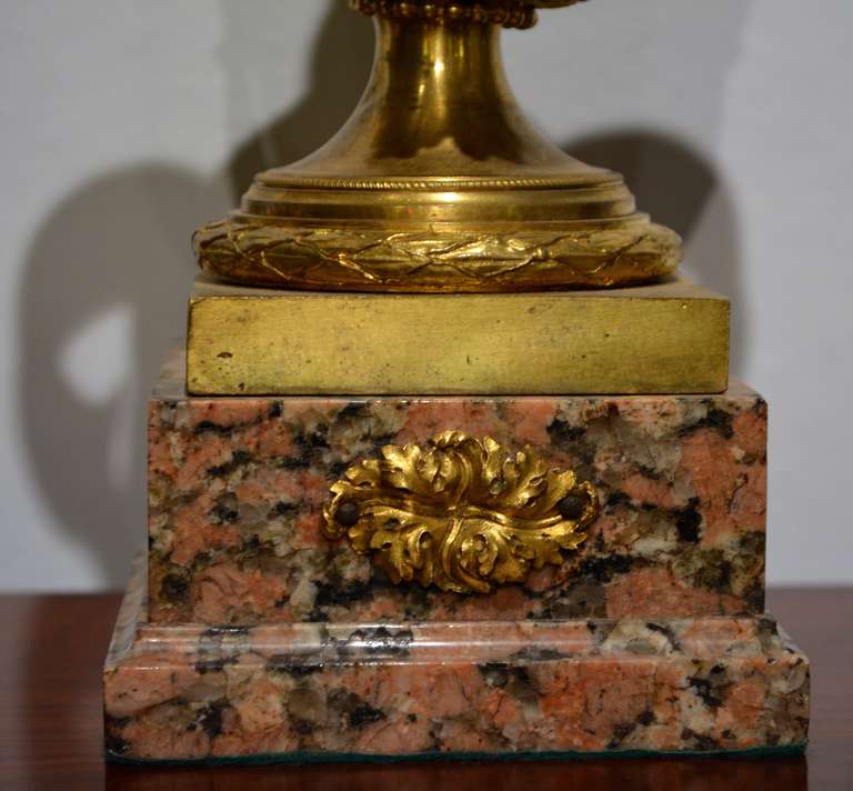 Paire de vases en bronze doré et marbre du XVIIIe siècle 1