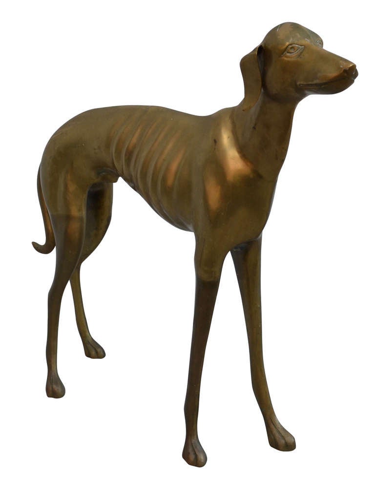 19th C. Fullsize Italian Greyhound Sculpture at 1stDibs
