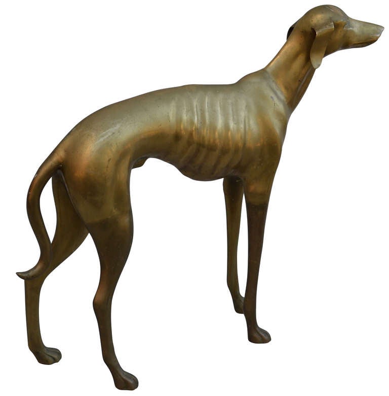 19th C. Fullsize Italian Greyhound Sculpture at 1stDibs