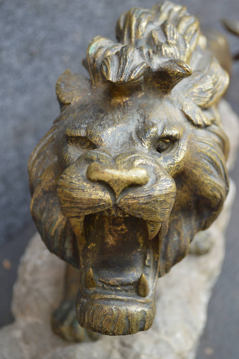 Large Roaring Bronze Lion Sculpture 4
