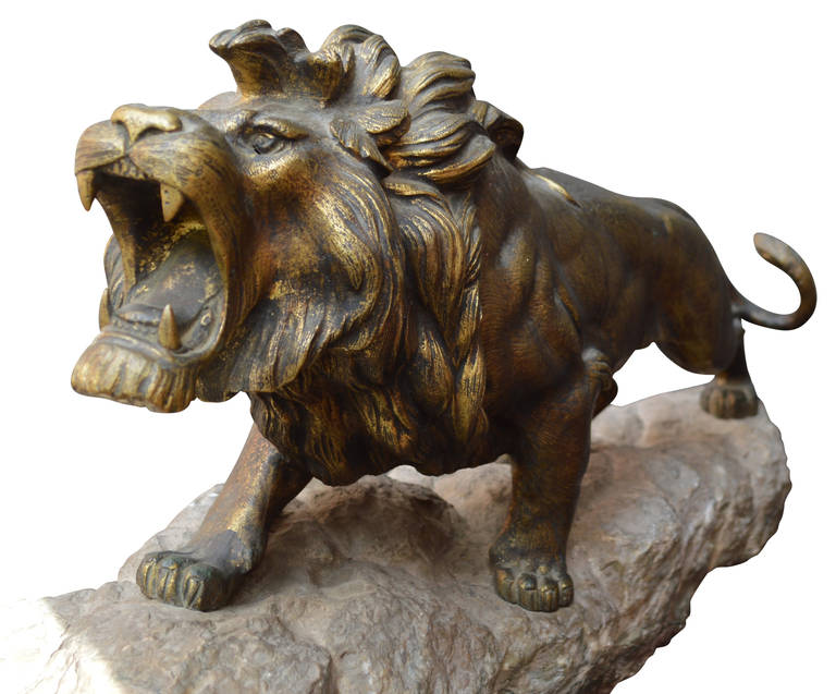 Large Roaring Bronze Lion Sculpture 2