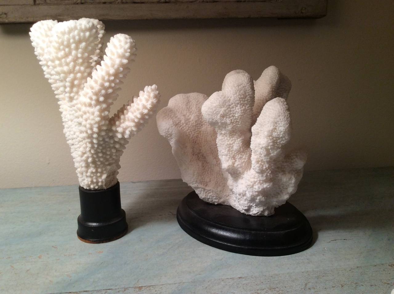 Set of Decorative Coral Works of Art In Good Condition In Haddonfield, NJ
