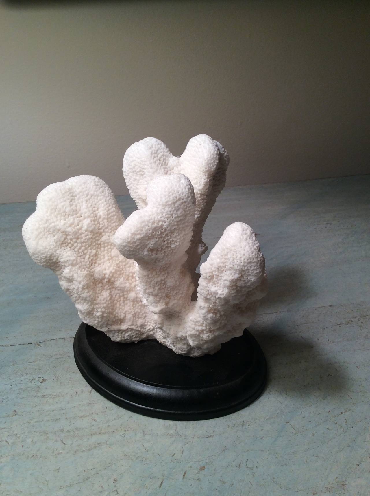 Set of Decorative Coral Works of Art 1