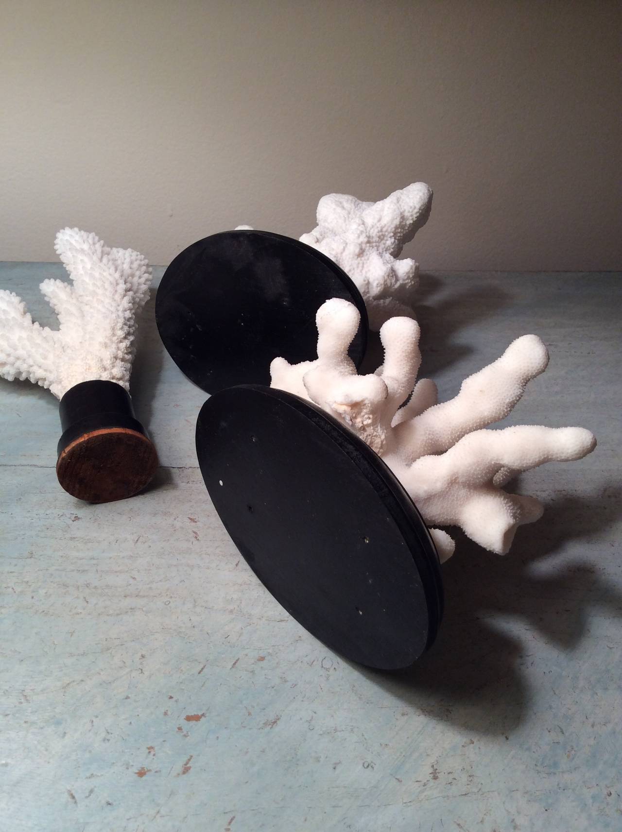 Set of Decorative Coral Works of Art 2