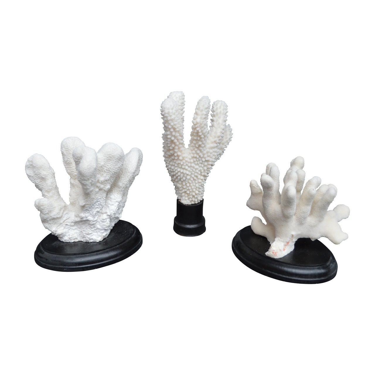 Set of Decorative Coral Works of Art