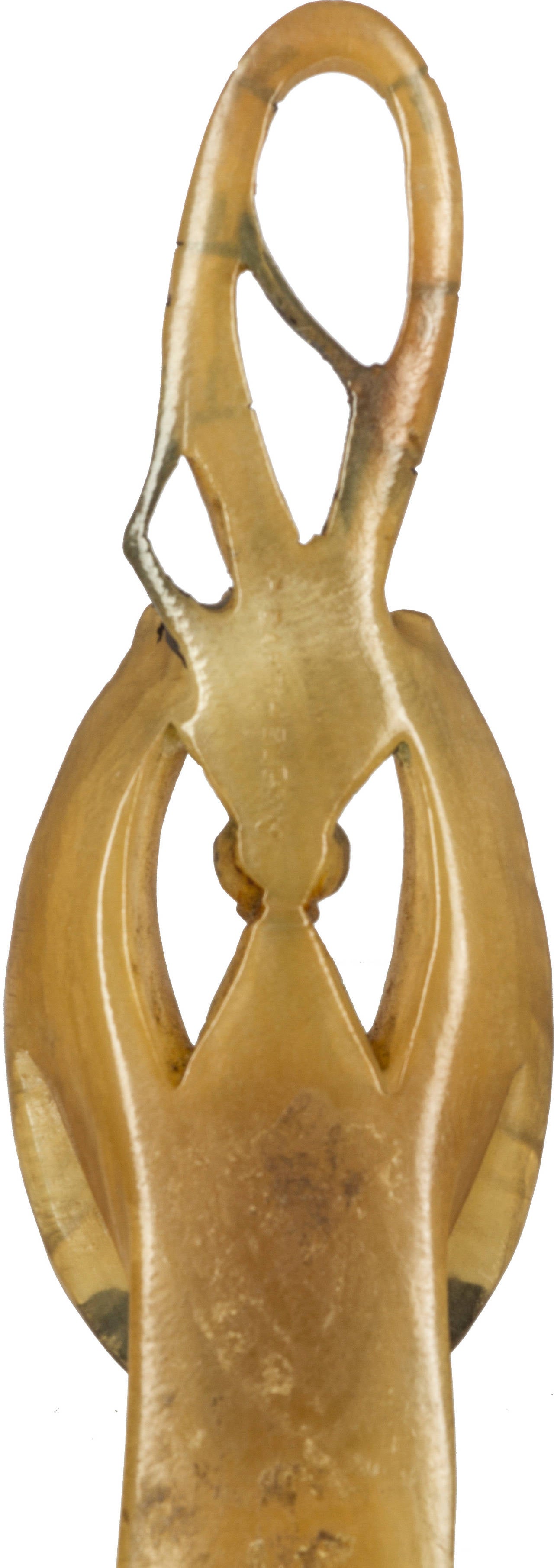 Art Nouveau Carved Horn Bookmark Letter Opener by Barthelemy