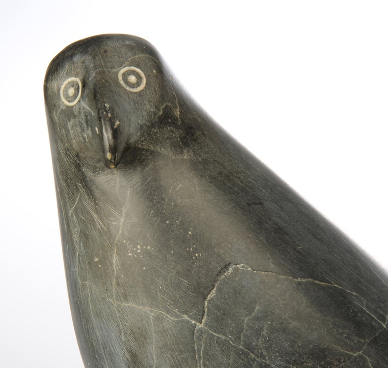 Large Inuit  Northwest Coast  Stone Carving of a Bird