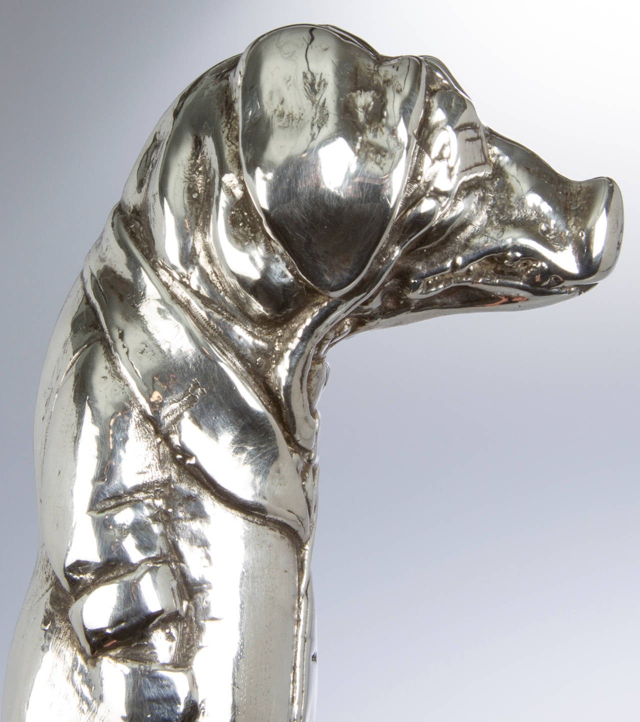 English Pig in a Man's Suit Silver Topped Cane