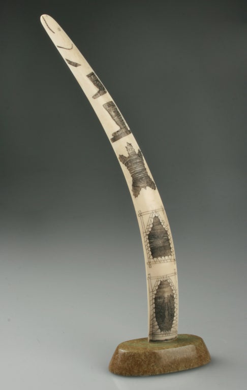 This is a long slender carving from a tusk or bone celebrating the life of a polar bear.