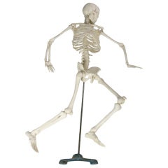 Vintage Classroom Skeleton