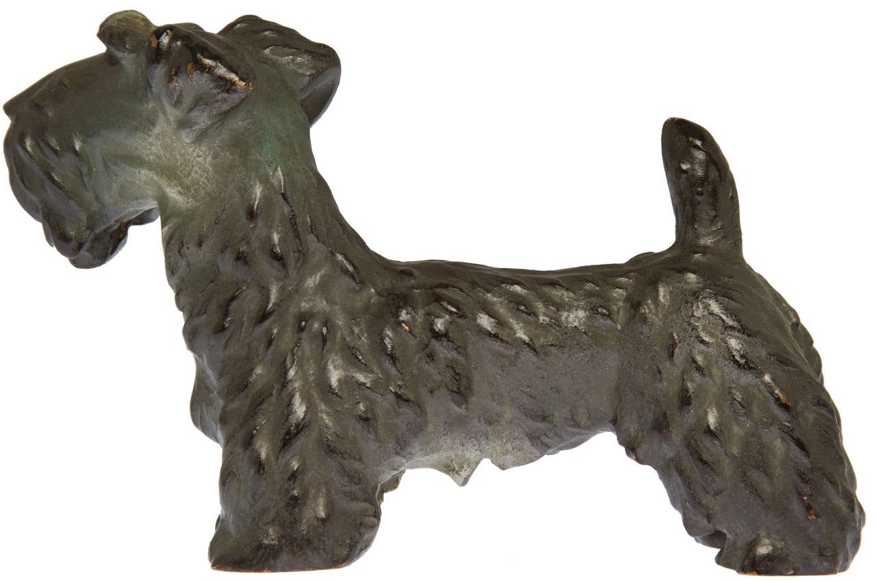 Austrian Art Deco Cold Painted Bronze Terrier For Sale