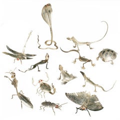 Collection of Insects and Reptile Placecard Holders