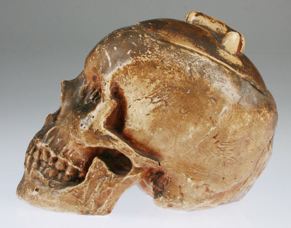 20th Century Austrian  Skull Humidor