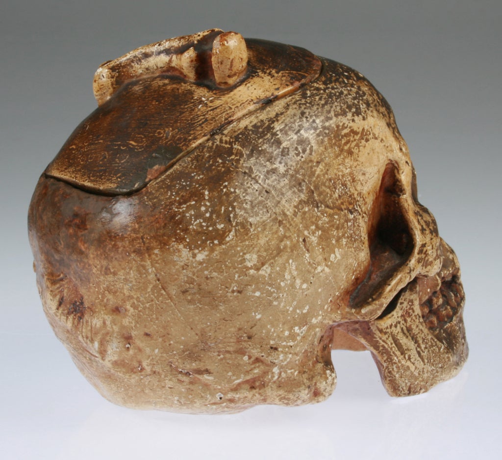 Austrian  Skull Humidor 1