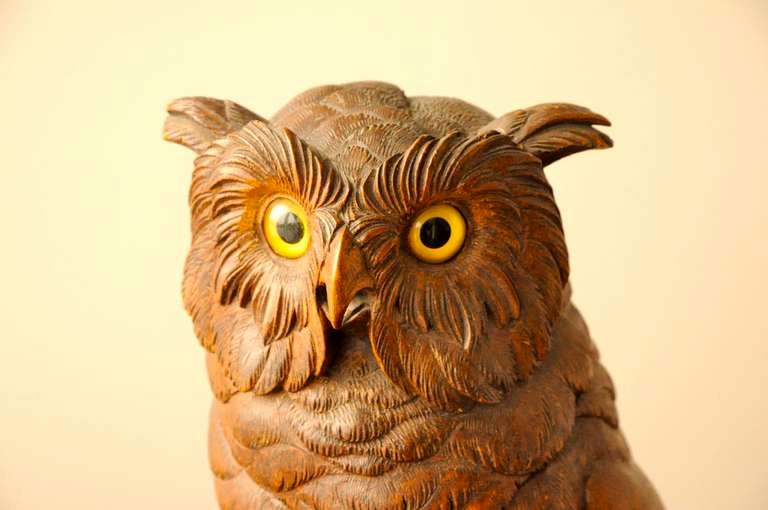 Carved Black Forest  Owl  from Brienz 3