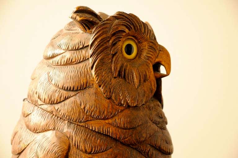 19th Century Carved Black Forest  Owl  from Brienz
