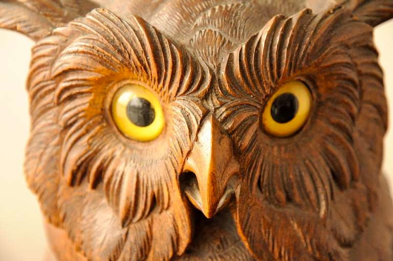 Walnut Carved Black Forest  Owl  from Brienz