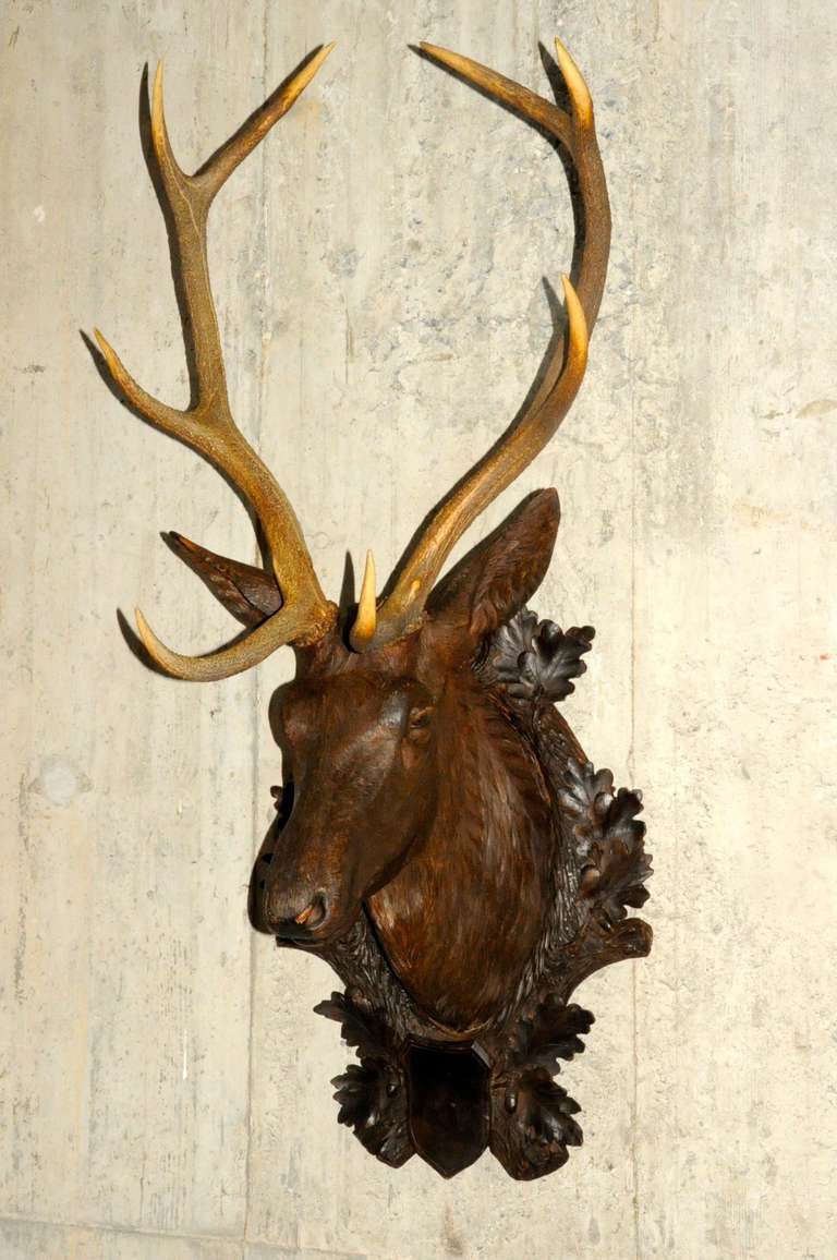 Exceptional work of Brienz / black forest .Constructed of carved walnut,  WOOD DEER HEAD WITH ANTLER MOUNTS. great patina .