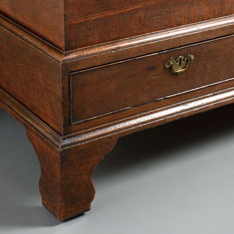 George I Oak Mule Chest In Excellent Condition In London, GB