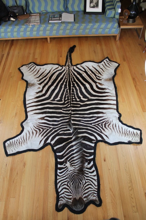 African zebra skin rug or wall hanging at 1stdibs