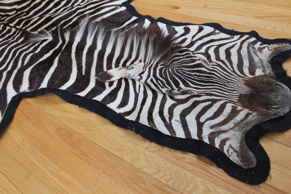 African zebra skin rug or wall hanging at 1stdibs