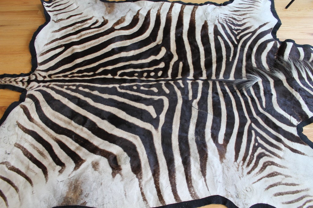 African zebra skin rug or wall hanging at 1stdibs