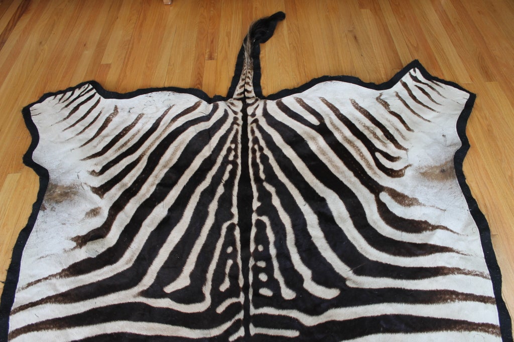 African zebra skin rug or wall hanging at 1stdibs
