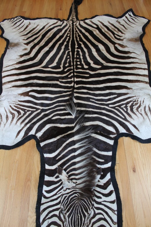 African zebra skin rug or wall hanging at 1stdibs