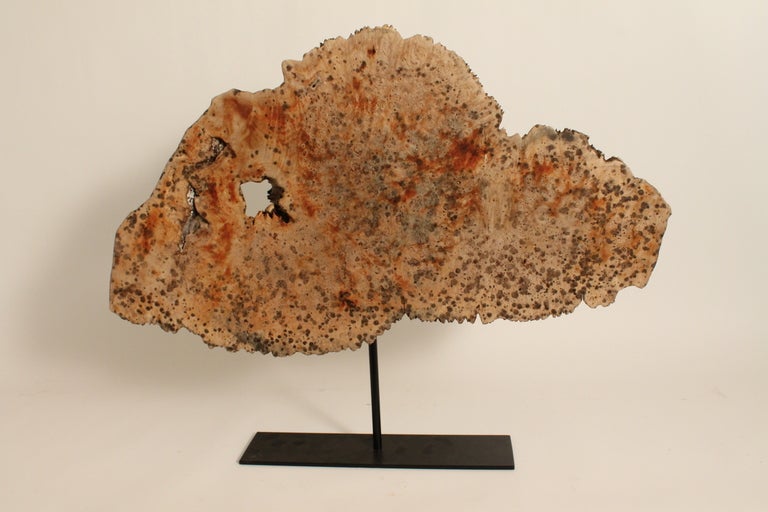 Large Maple Burl Cap on Stand 1