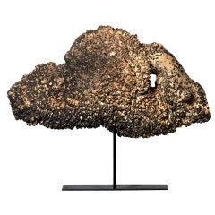 Large Maple Burl Cap on Stand