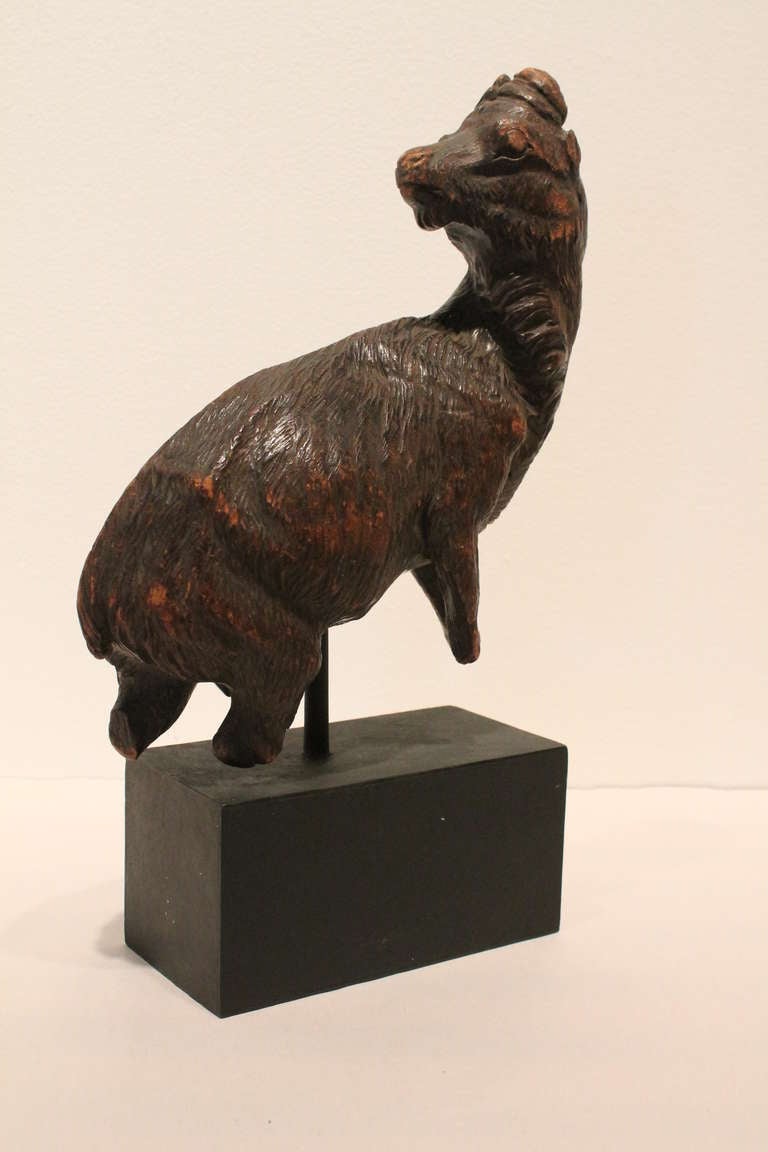Fantastic highly detailed Black Forest fragment of a sculpture of a ram.
The horns and legs were worn off long long ago and it was acquired on the base.
Wonderful sculptural presence and great patina.