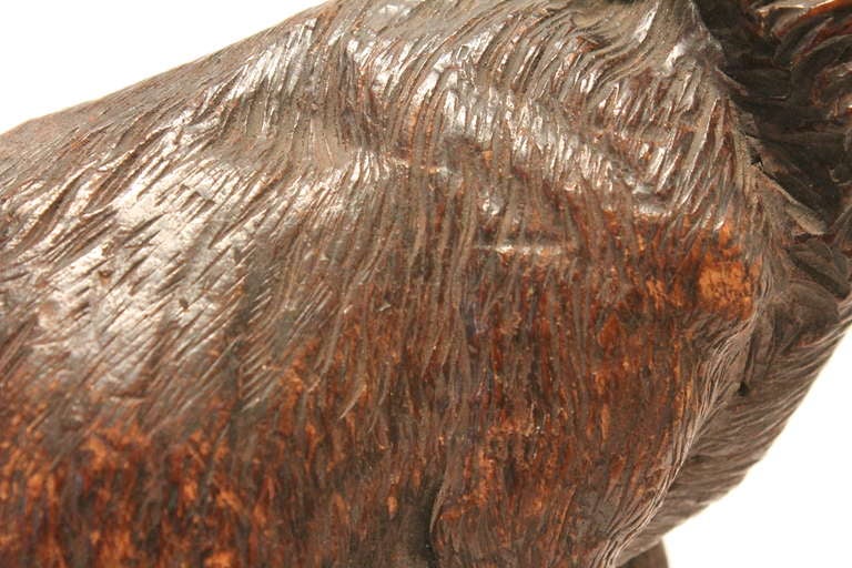 19th Century Black Forest Ram Sculptural Fragment For Sale 3