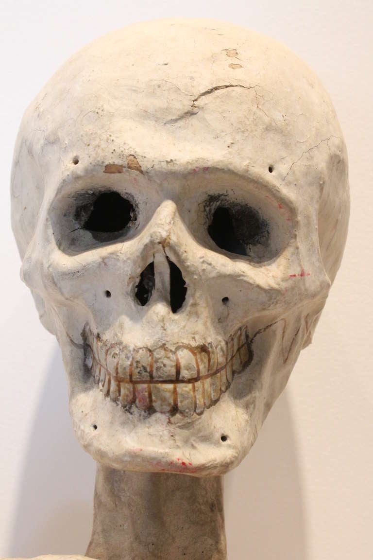 Folk Art 19th Century Odd Fellows Paper Mache Skeleton Bust