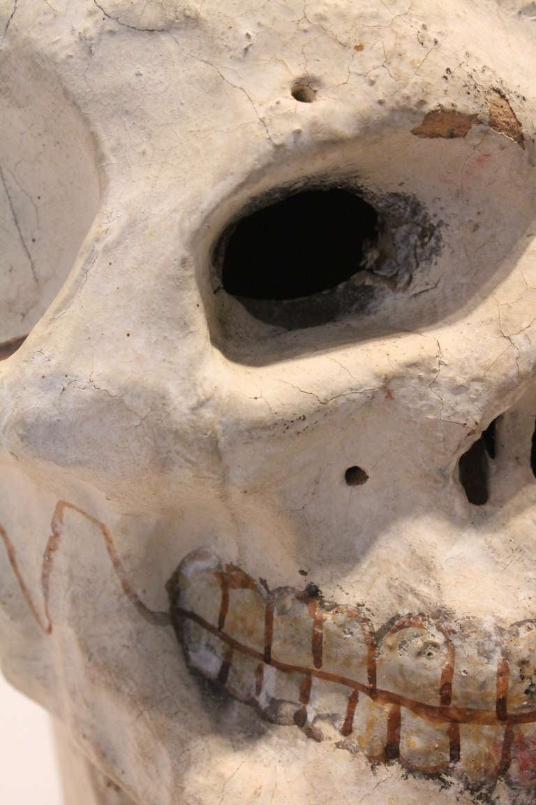 19th Century Odd Fellows Paper Mache Skeleton Bust In Excellent Condition In 3 Oaks, MI