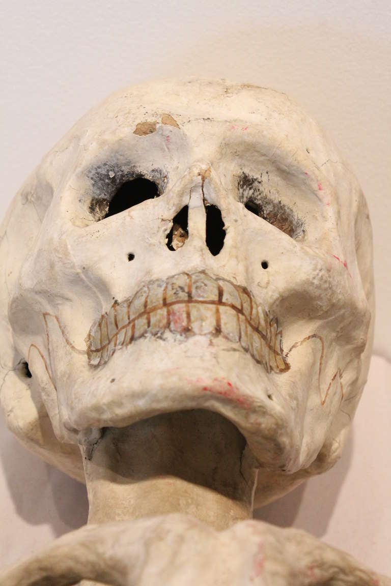 19th Century Odd Fellows Paper Mache Skeleton Bust 2
