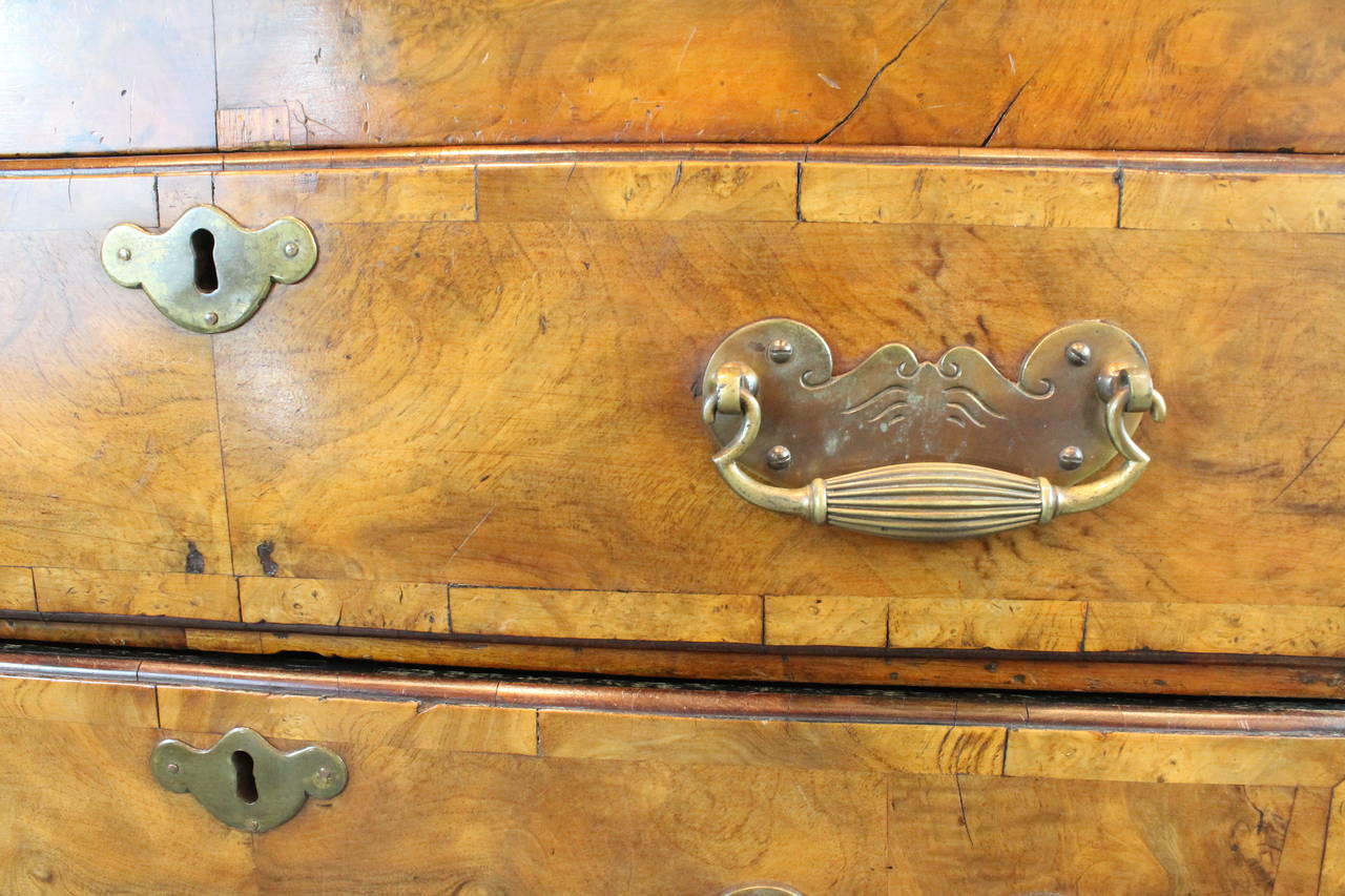 William and Mary Circa 1720 Diminutive English Burled Walnut Secretaire Chest For Sale 1