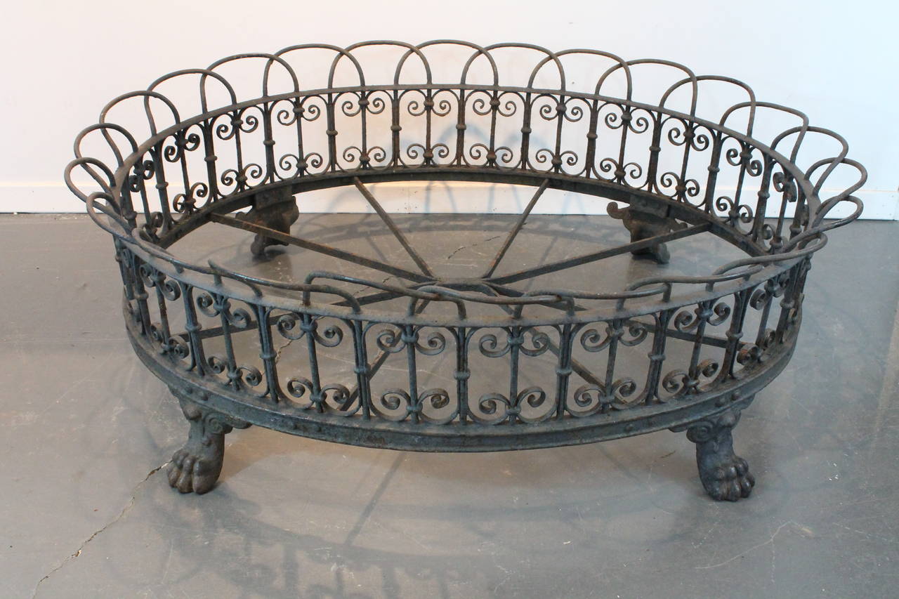 Fantastic large scale wrought iron 19th Century English planter with cast lion feet.
Elegant lines and fantastic patina , could be used as base of cocktail table.