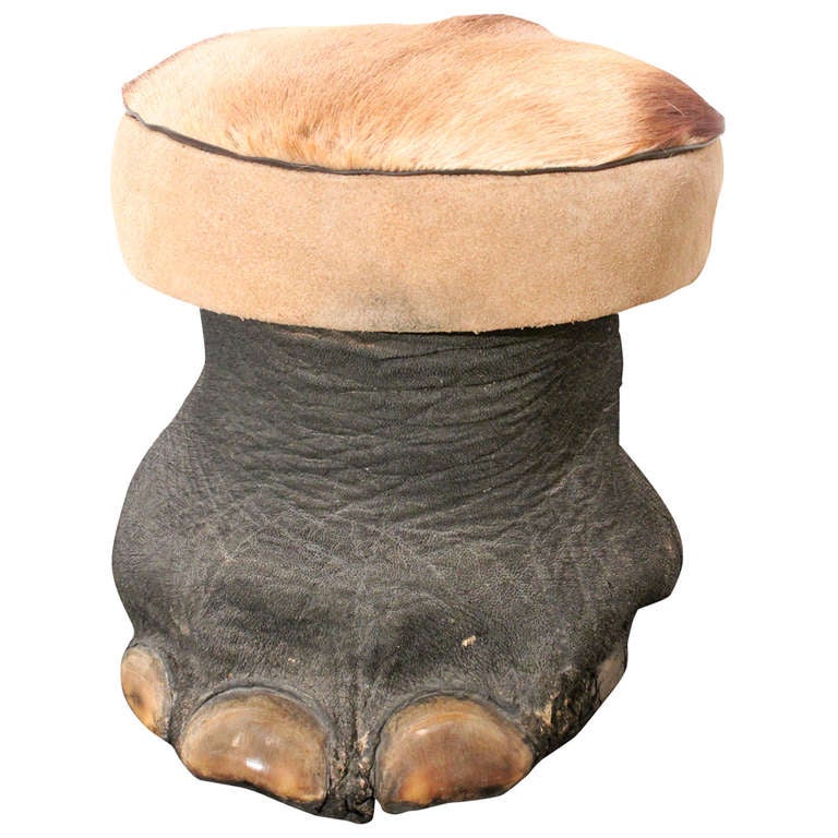 Elephant Foot and Gazelle Hide Stool at 1stdibs