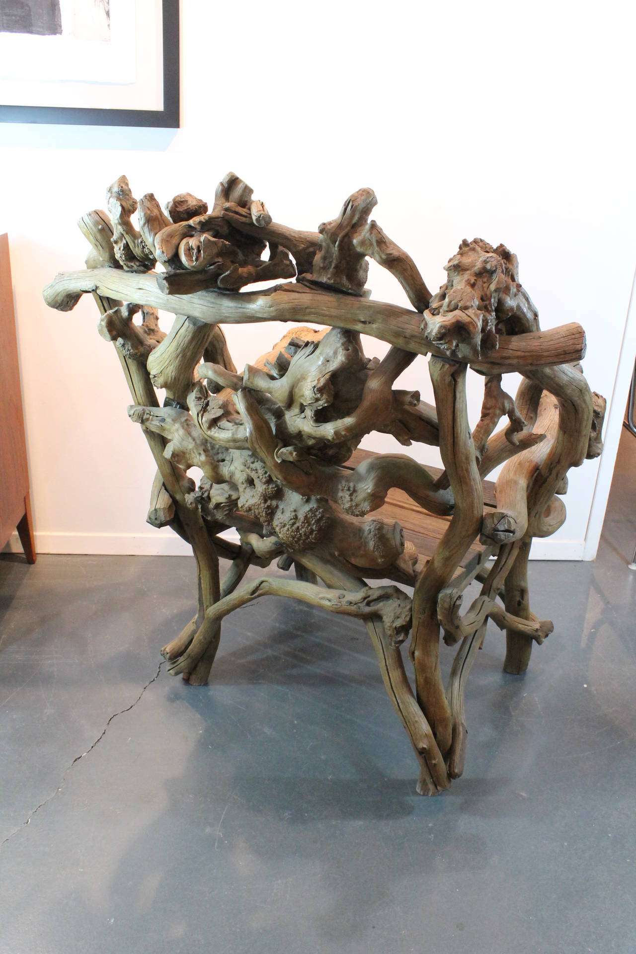 Early 20th Century Exceptional Rhododendron Root Armchair For Sale