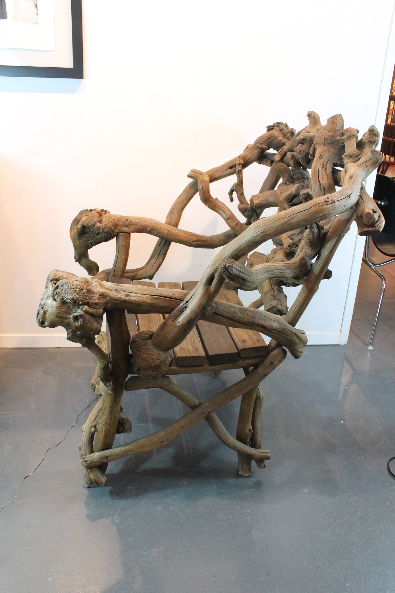 Exceptional Rhododendron Root Armchair For Sale 2