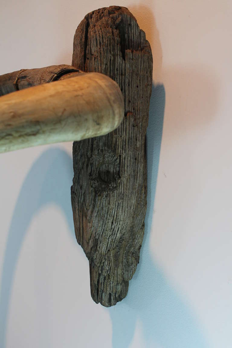 American Folk Art Driftwood Bull Head 3