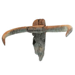 American Folk Art Driftwood Bull Head