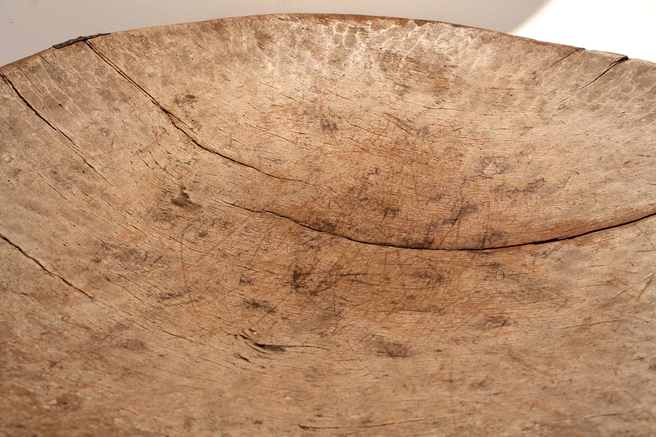 Huge Three Foot Diameter Primitive, 19th Century Bowl 1