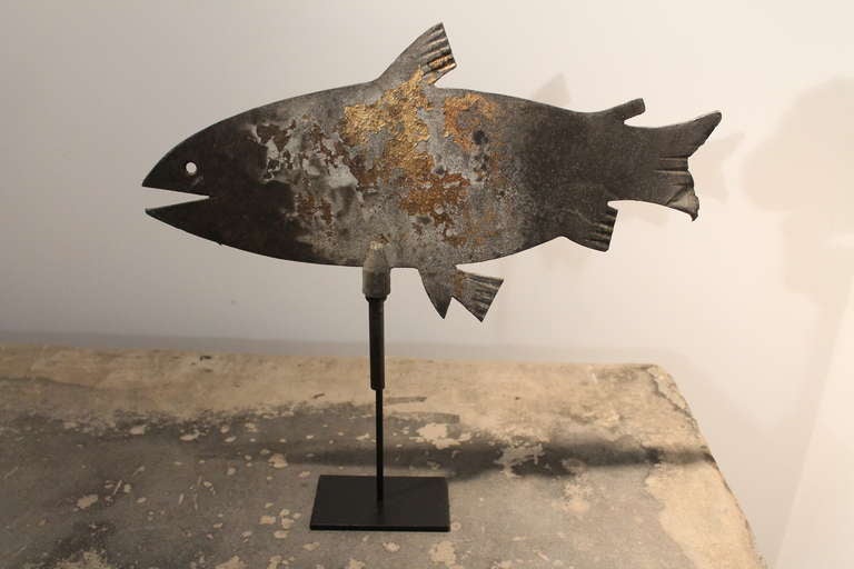 Simple but strong form on this early 20th Century sheet metal fish weathervane from Maine.
Mounted on a very simple iron stand.
There are sections of the gold leaf that once covered the entire form. Great surface and presence.